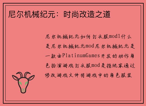 尼尔机械纪元：时尚改造之道