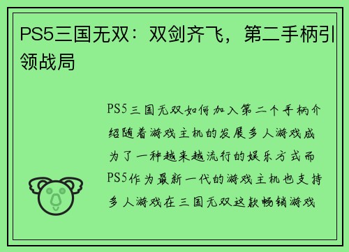PS5三国无双：双剑齐飞，第二手柄引领战局